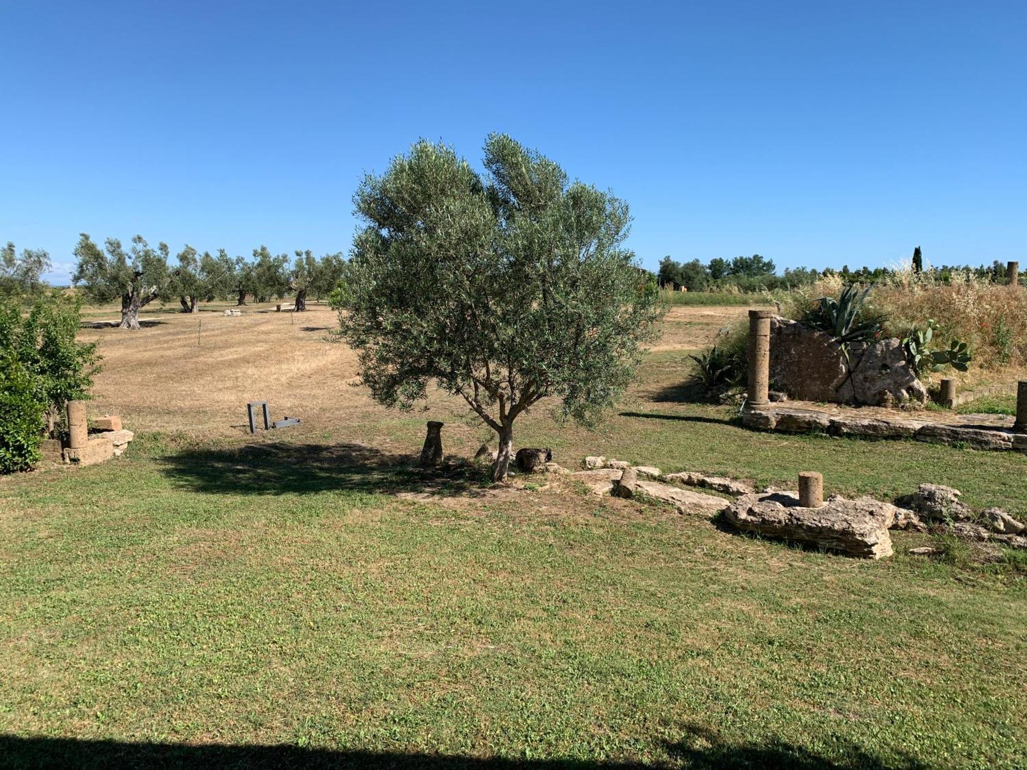 Resort Fonte Vulci Canino Bagian luar foto
