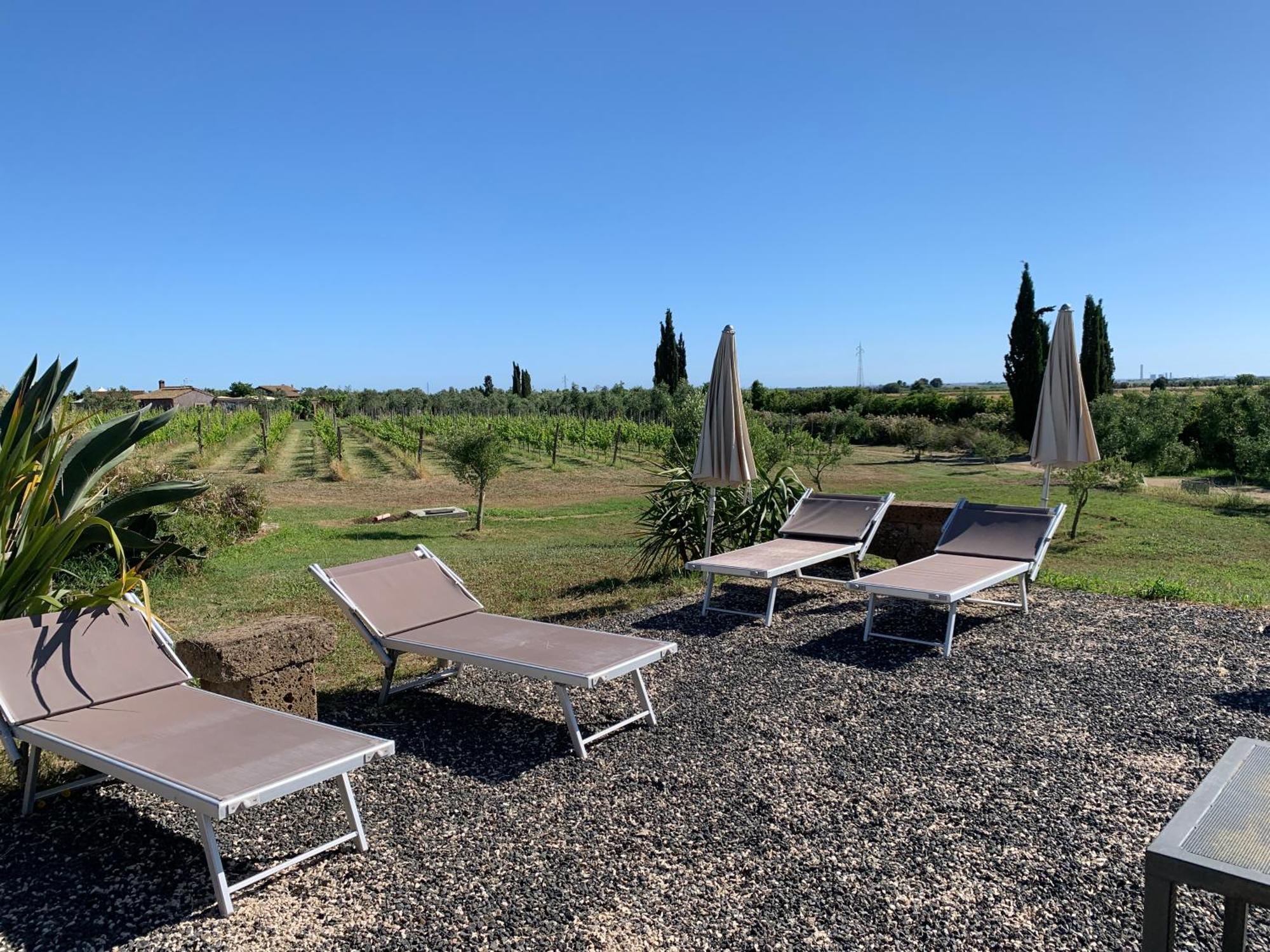 Resort Fonte Vulci Canino Bagian luar foto
