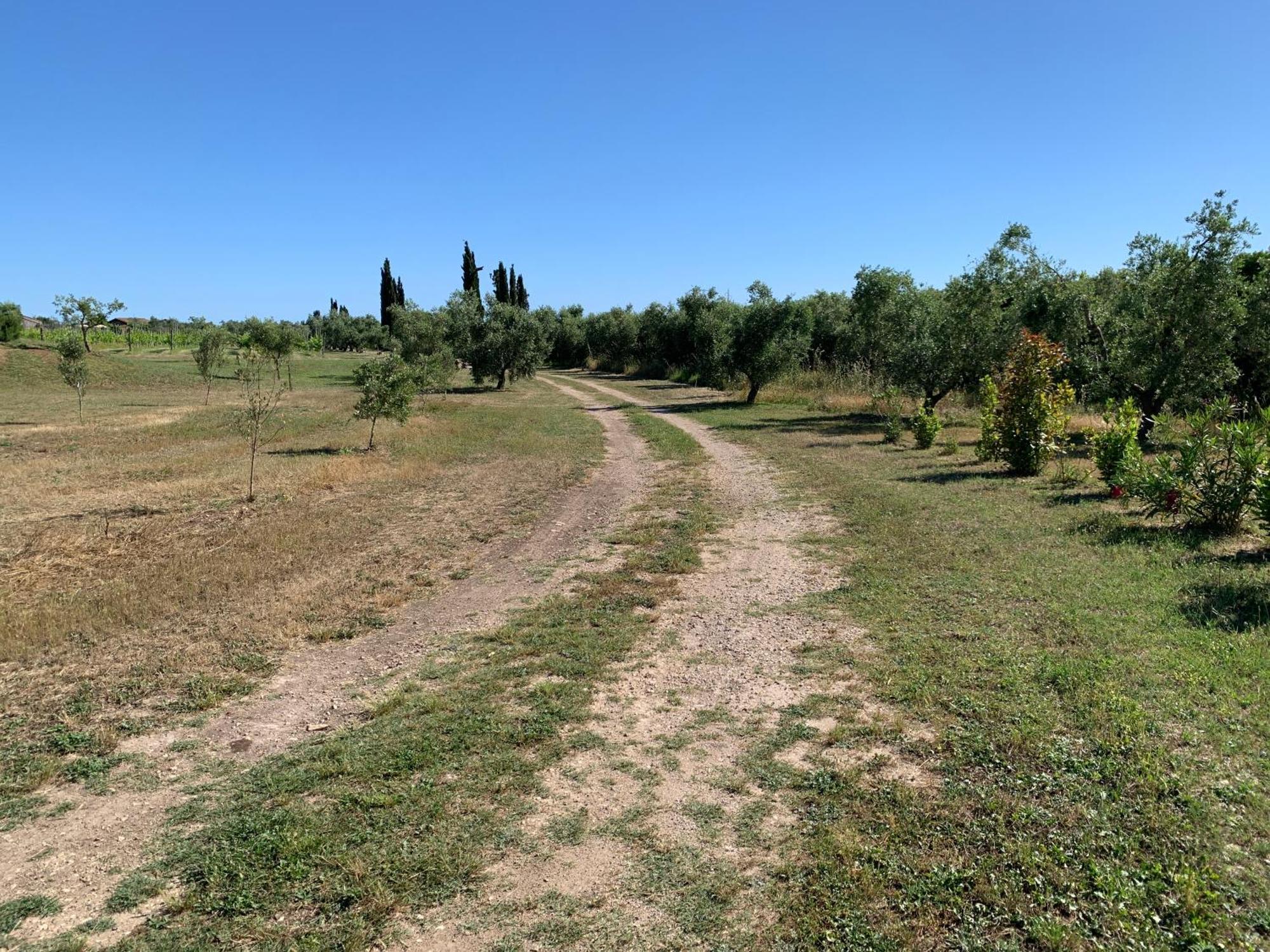 Resort Fonte Vulci Canino Bagian luar foto